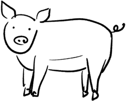 Pig