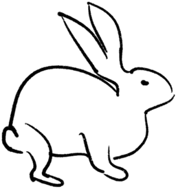 Rabbit